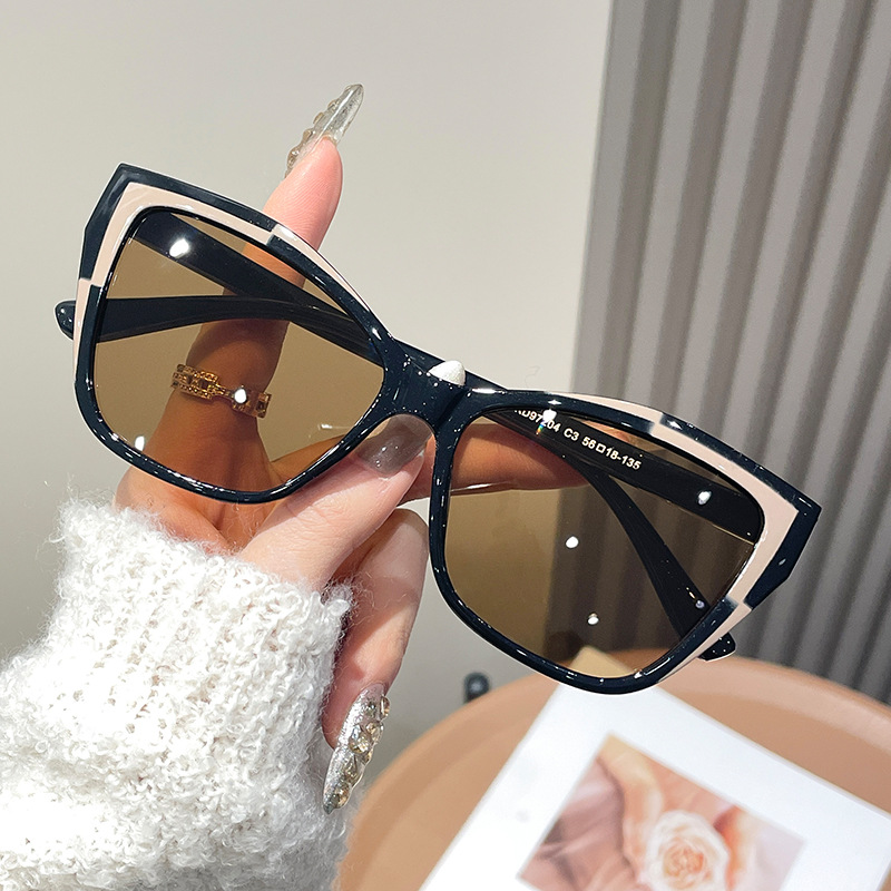 Kadınlar Renk Bloklu Kedi Gözü - Sunglasses Cat Eye incelemesi ve fiyatı
